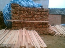 金華國際貿(mào)易 專業(yè)進(jìn)口木材銷售與加工服務(wù)