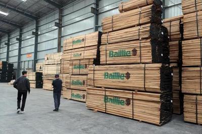 木材價(jià)格飆升下的產(chǎn)業(yè)陣痛 青島工廠無奈轉(zhuǎn)讓折射行業(yè)困境