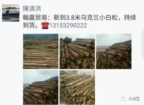 履約思源，不忘初心——精品木材銷售啟事