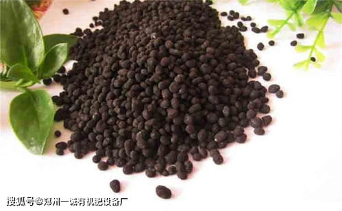 有機肥料廠選址的核心考量要素